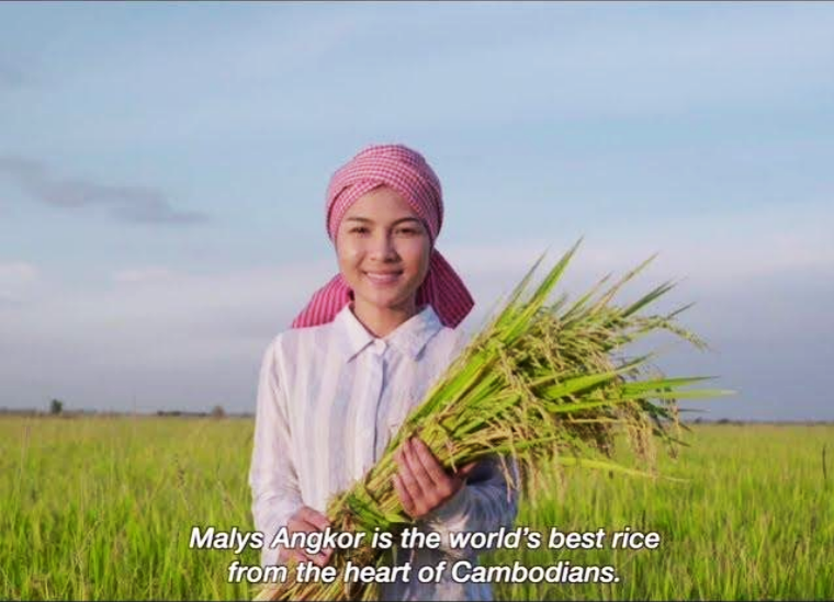 Cambodian fragrant rice ：the world's finest rice